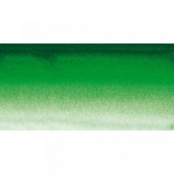 Акварель Sennelier Hooker's Green (809) серия 1 в тубе 10 мл - (in 067)
