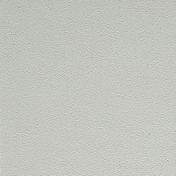Профессиональная бумага для пастели Clairefontaine Pastelmat (Пастелмат). Лист 50х70 см, 360 г/м. Цвет - Light Gray (Светло-серый) 