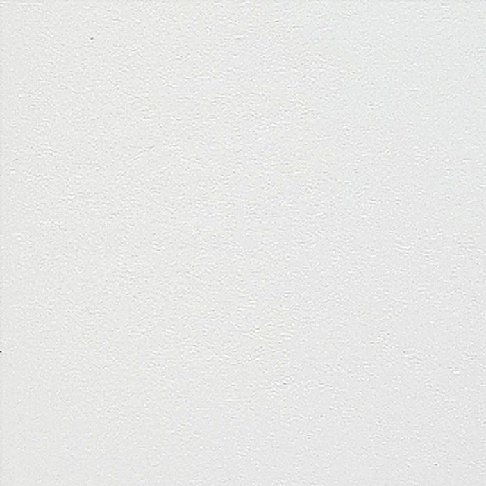 Профессиональная бумага для пастели Clairefontaine Pastelmat (Пастелмат). Лист 50х70 см, 360 г/м. Цвет - White (Белый) 