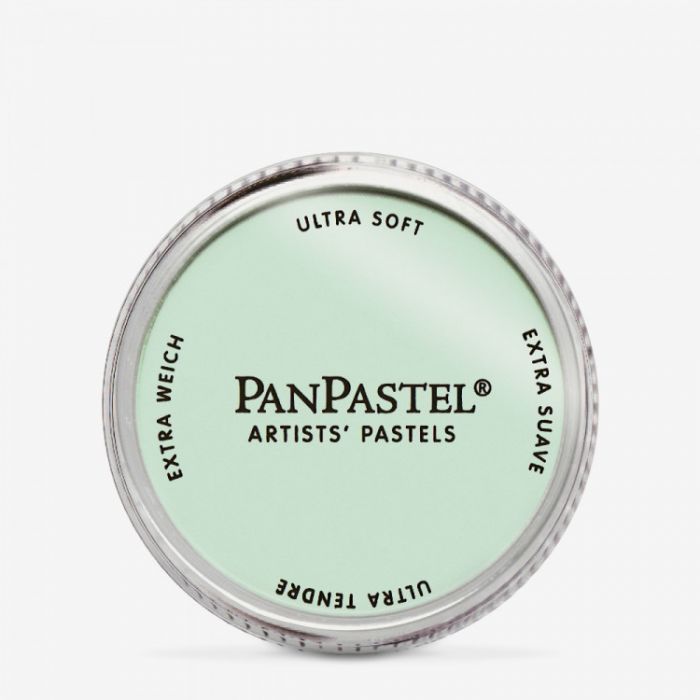 PanPastel профессиональная пастель. Цвет Permanent Green Tint 6408 - (in 029)