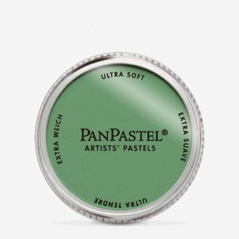 PanPastel профессиональная пастель. Цвет Chromium Oxide Green 6605 - (in 031)